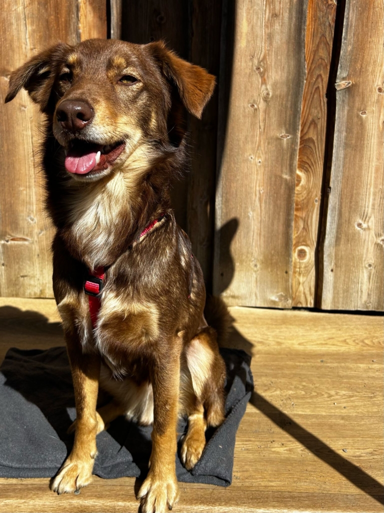Kiro 1