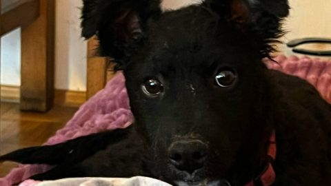 Winnie sucht ein Zuhause