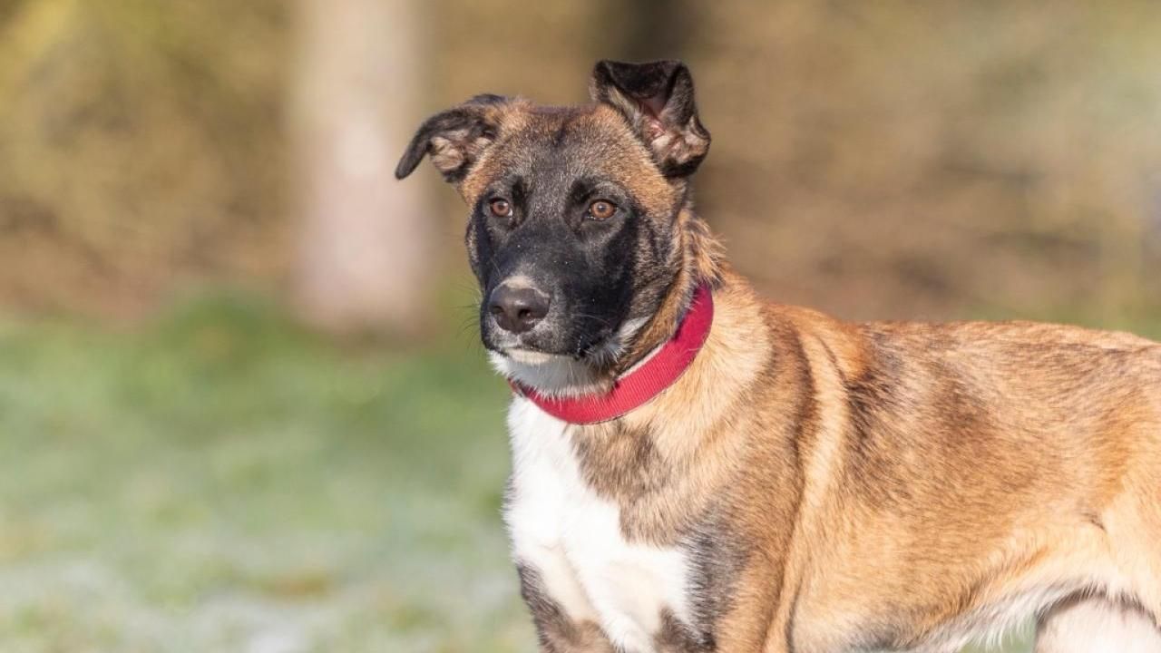 Carmina such ein Zuhause