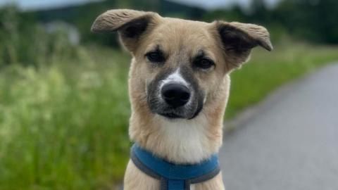 Maddie sucht ein Zuhause