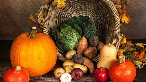 Herbstgemüsepfanne mit Kürbis, Pilzen und Crème fraîche
