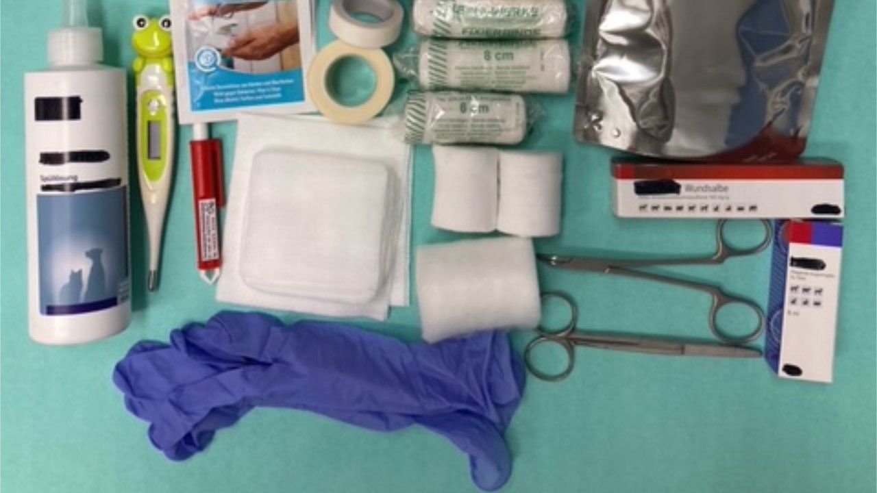 Erste Hilfe bei Tieren