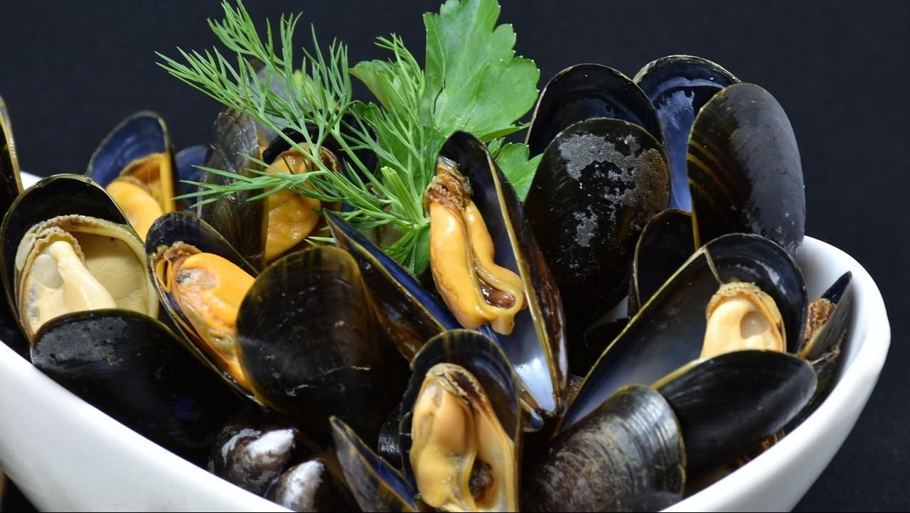 Miesmuscheln in Weißwein