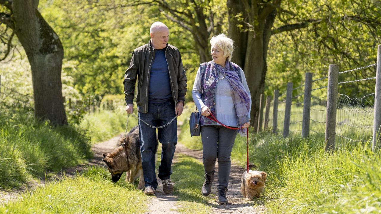 Film-Tipp: Mit Herz und Hund