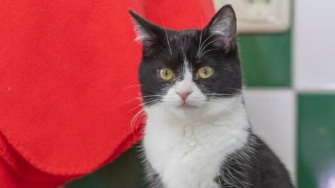 Emely sucht ein Zuhause