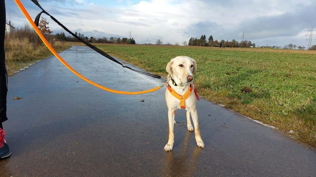 Charlene sucht ein Zuhause