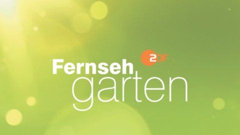Fiasko für den ZDF-Fernsehgarten