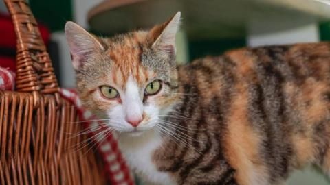 Barbara sucht ein Zuhause