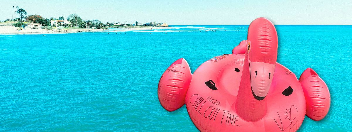 Ingo Flamingo - Sommeraktion mit Vincent Gross